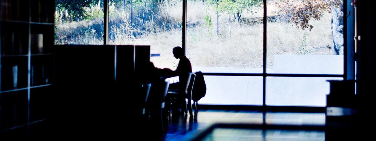 photo of the silhouette of a single, indistinguishable person in the library; background has view of surrounding wooded areas